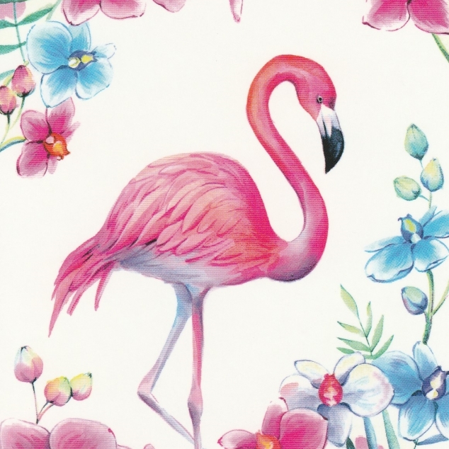 Ansichtkaart Roze Flamingo
